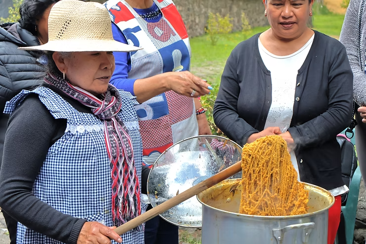 Preservando el color de las raíces: Taller de teñido de lana con tintes naturales